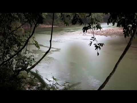 Borneo $ Death $ Blow   Full Documentary