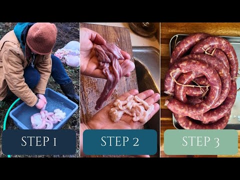 How to Make Your Own Sausage Casings (scraping hog intestines)