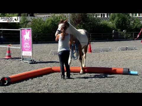 Mustang Makeover 2018 - Trail mit Sonja Kutter