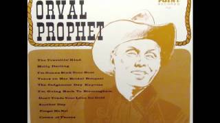 The Traveling Kind - Orval Prophet