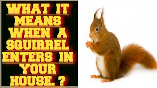 WHAT IT MEANS WHEN A SQUIRREL ENTERS IN YOUR HOUSE ?