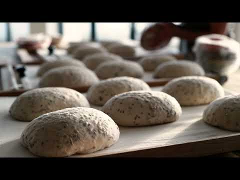 olive.a.twist