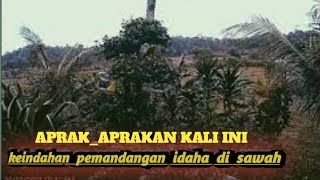Download Lagu Gratis