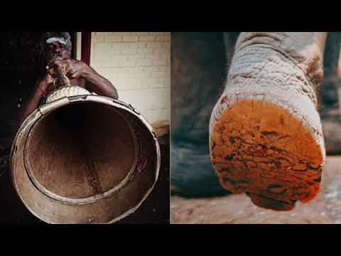 எக்காளம் இசையின் இறுதி மூச்சு | Ekkalam Music Instrument | Tamil Awareness — वीडियो थंबनेल