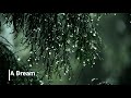 Michael Burke - Don't Let It Be A Dream