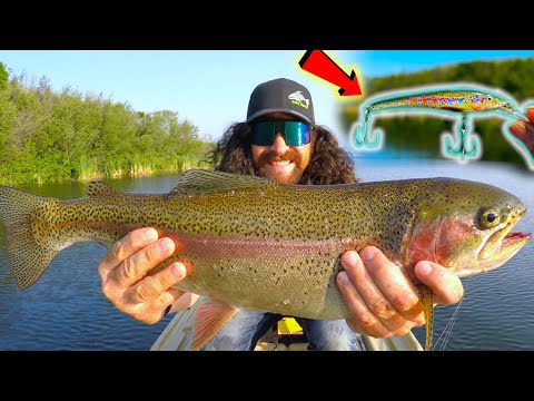 Do CHEAP Lure + Hooks Actually Catch Fish? You NEED To See This!