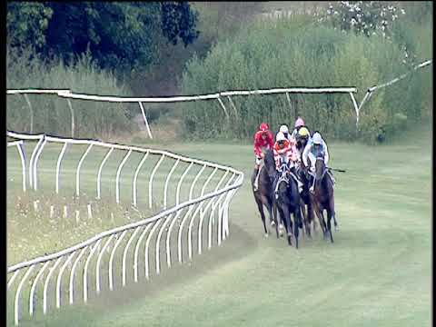 Galoppo 28/08/2019 - 2ª corsa