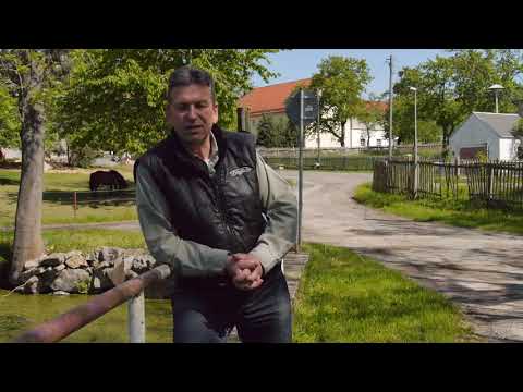 Kommunalwahl 2019 - Langenwetzendorf, OT Kauern