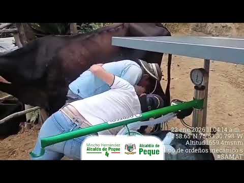 🐄🌱 Acompañamiento técnico para fortalecer la producción lechera en Peque.