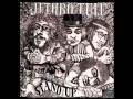 Jethro Tull - Look Into The Sun