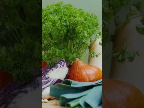 Ultimate Guide to Organic Green Superfood Powders for Detoxification