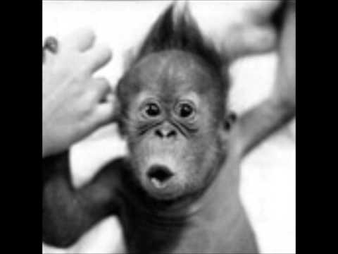 Jairo Beltrami @ House Timba