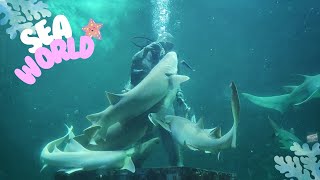 Download lagu TRIP SEAWORLD ANCOL  | Mengenal Kehidupan Bawah Laut mp3