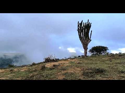 TRILHA ECOLÓGICA PELO RIO SALGADINHO - PE (GRUPO RAPOSAS DO AGRESTE)