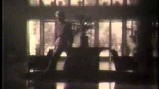 Peter Cetera - Next Time I Fall (Music Video)