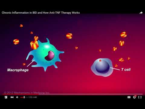 Infliximab Injection 100mg