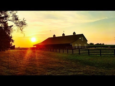 Henry Street Apartments thumbnail