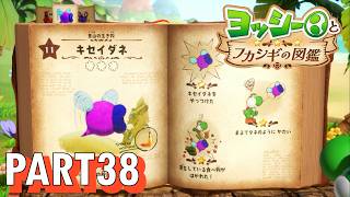 フカシギな生き物の生態調査をしよう！！【ヨッシーとフカシギの図鑑実況part38】