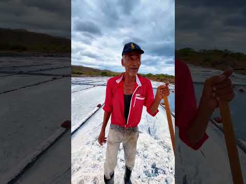 El Oro Blanco De Tola