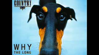 Big Country - One In A Million