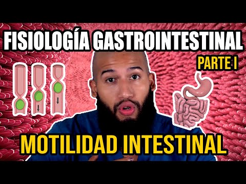 Fisiología GASTROINTESTINAL Pt. I - Motilidad del Aparato Digestivo (Ondas Lentas, Espigas y MÁS!)