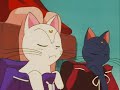 Sailor Moon Feeding The Cats