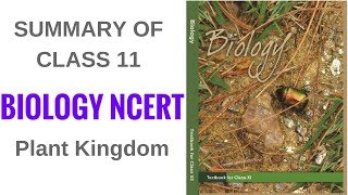 Summary of Class 11 Biology NCERT- Plant Kingdom