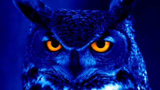 Mike and The Mechanics  &quot;Par Avion&quot; (Legendado)