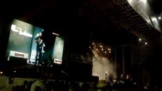 Onyx - Strike back @ Viña Rock 2015