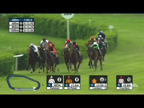 Preis vom Rennstall Schleusner - Maiden