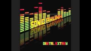 Sonic Phunk-Rehab Blues feat.Tim Reeves