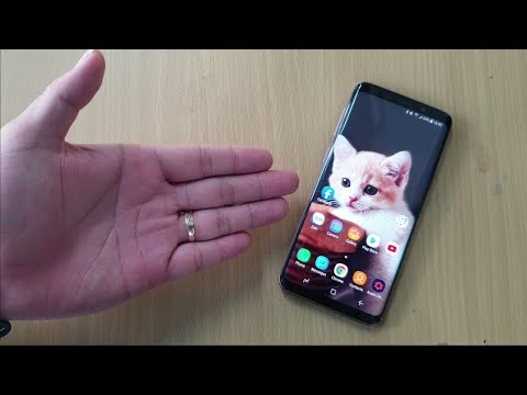 Find your lost phone with cat meow