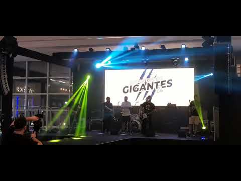 Os Tigres Rock - Toda semana (encontro de gigantes II)