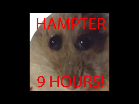 9 hours of silence occasionally broken up by hampter