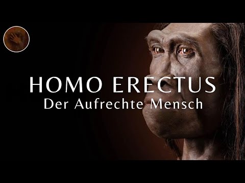 Homo Erectus: 'Der aufrechte Mensch' | Dokumentation über prähistorische Menschen