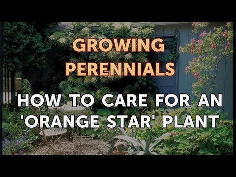 Can I Propagate a Peony From a Cutting