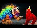 We Found Yarnaby in Gorilla Tag