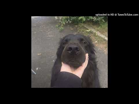 *FREE* jaydes x mac demarco type beat - "true colors"