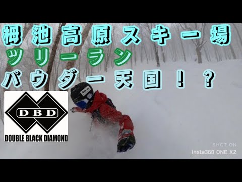 【スノーボード】パウダースノー！？栂池高原スキー場のツリーランコースを紹介。今シーズン初ツリーラン🌲