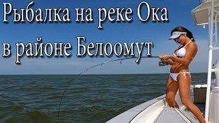 Ловля рыбы на оке в районе белоомута
