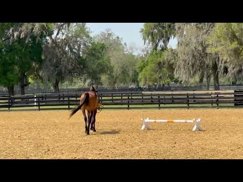 Onyx ERR video 1