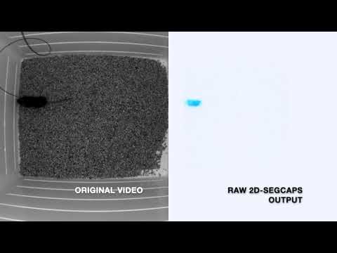 Video segmentation with capsule networks