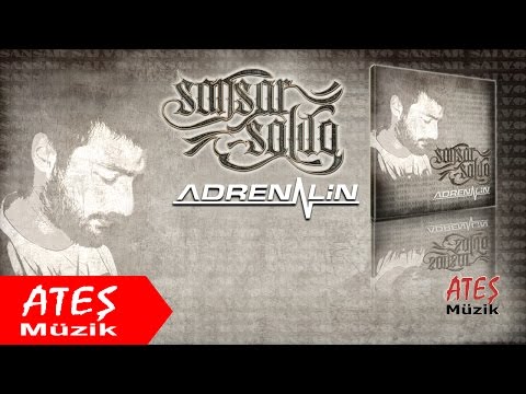 Sansar Salvo - Albert De Salvo (Official Audio)