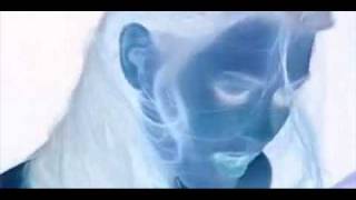 Dj Nex - Fluid