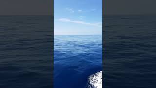 Cruising the South Pacific is our favourite thing to do. #travel #cruise #shorts #southpacific