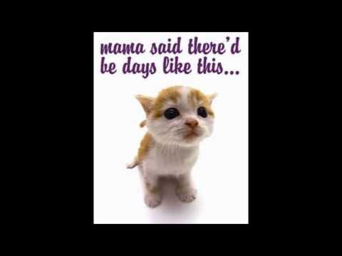 Zahair--A Mother's Love  (January Morning Riddim)