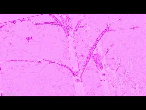 #0473 Radoslaw Kostecki - On The Way - op. 1991a (SILVA ULTIMA)