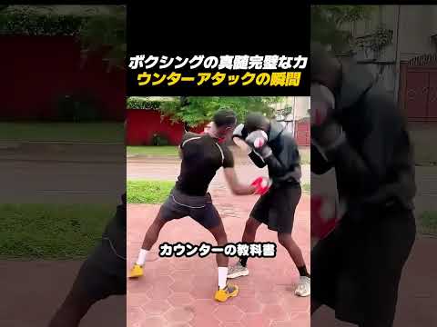 ボクシングの定石を披露！攻撃を完璧に読んだ痺れるカウンターパンチ