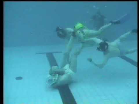 DM 2005 - Duisburg - Bremen - 8:0