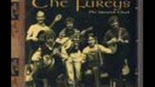 The Fureys- When You Were Sweet Sixteen